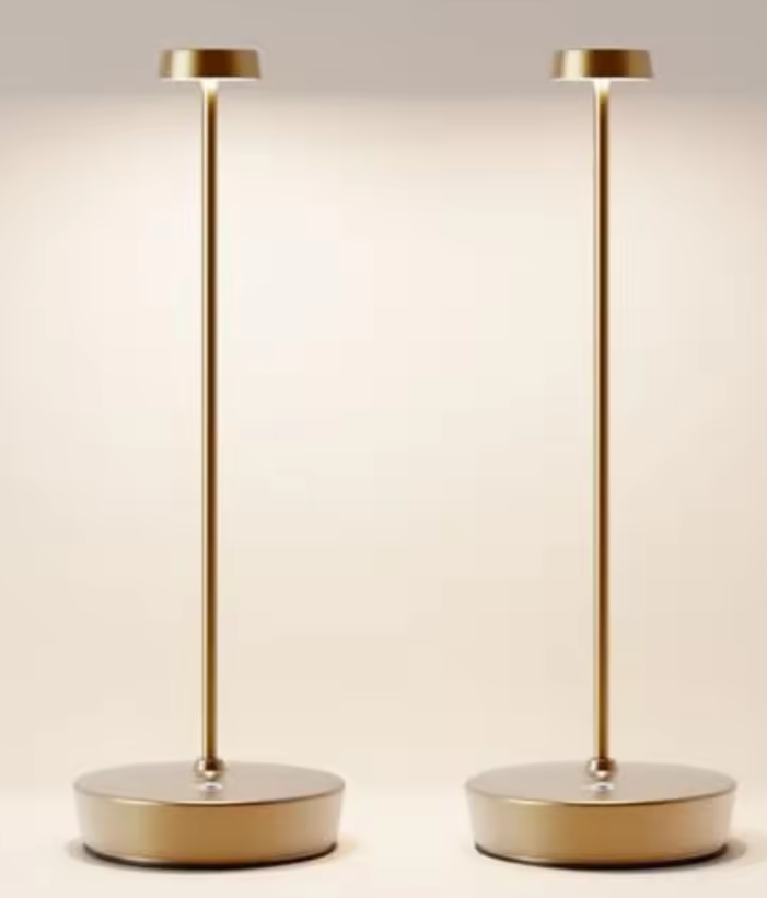 Cordless LED Table Lamp Rechargeable Battery Desk Lamps, 3 Color Stepless Dimmable Metal Battery Table Lamps, Portable Waterpro