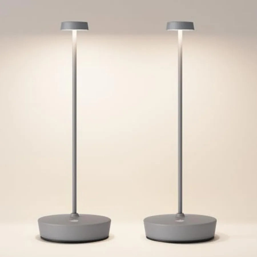 Cordless LED Table Lamp Rechargeable Battery Desk Lamps, 3 Color Stepless Dimmable Metal Battery Table Lamps, Portable Waterpro