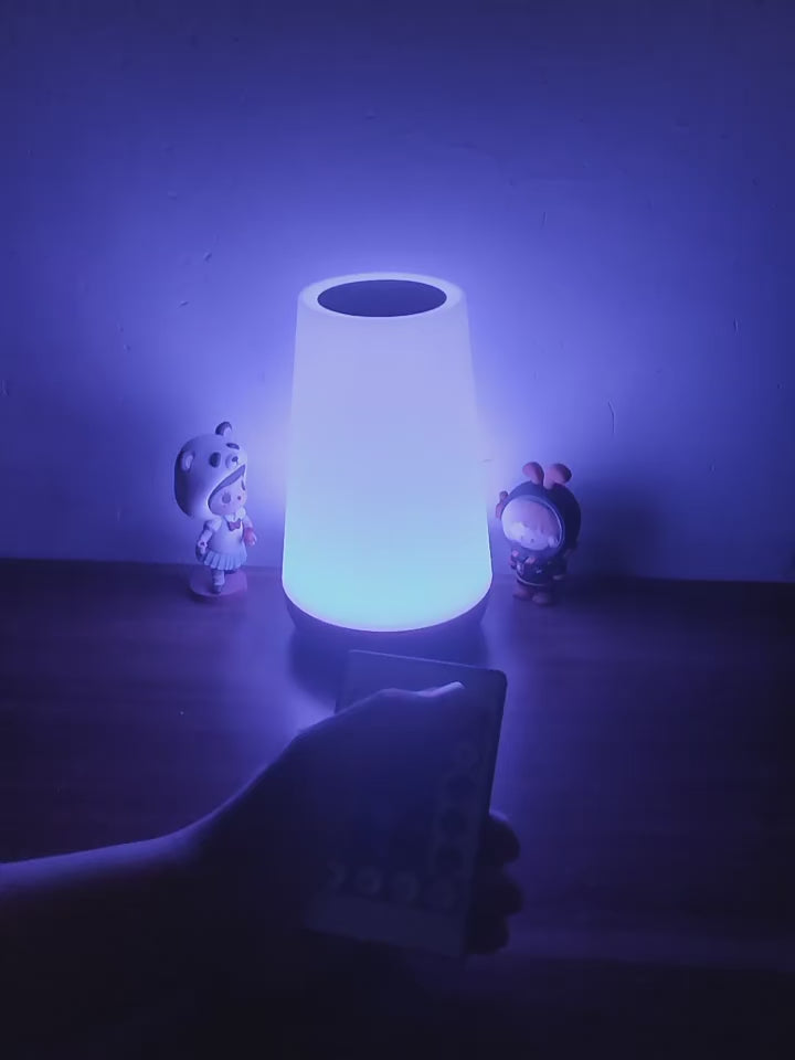 USB Touch Control LED Night Light 13 Colors Changing Dimmable Bedside Table Lamp with Remote for Bedroom Camping Reading Decor